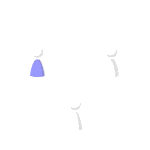 Workflow & Internal Ops